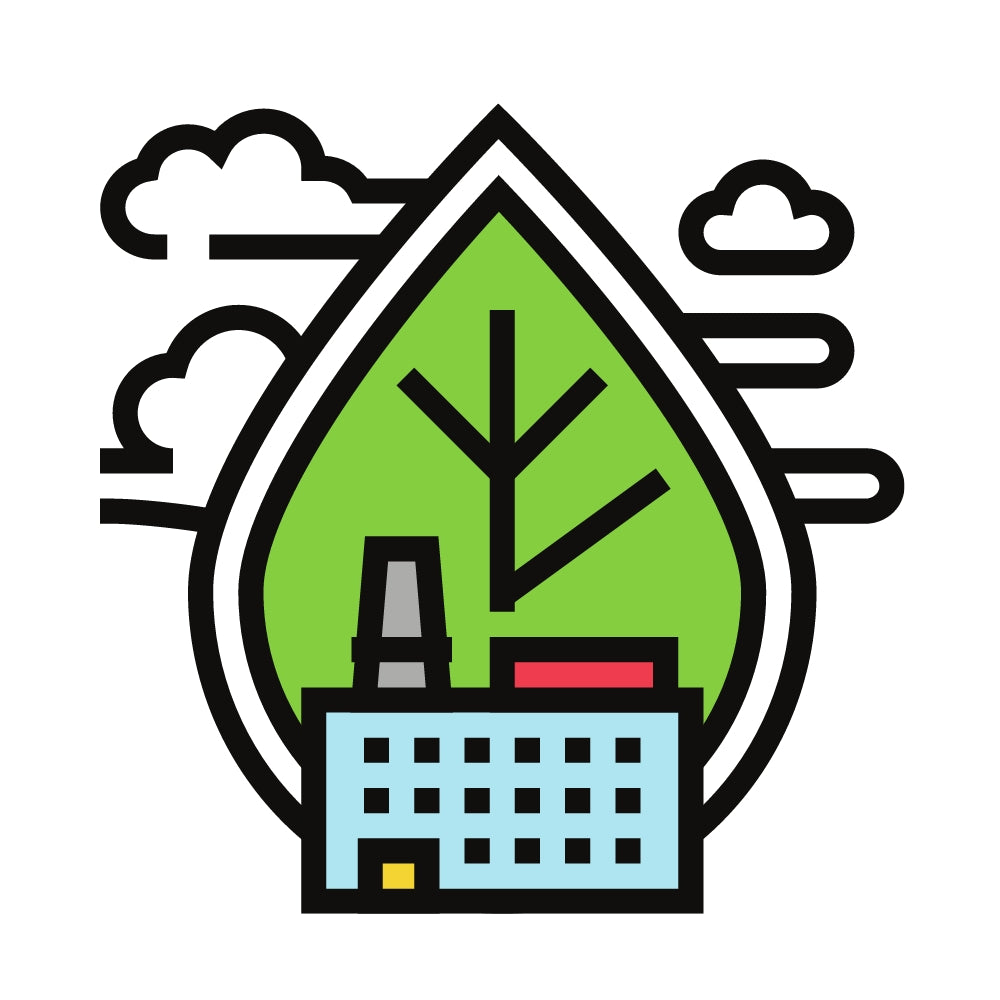 Air Quality, Nasal Health, Pollution Effects