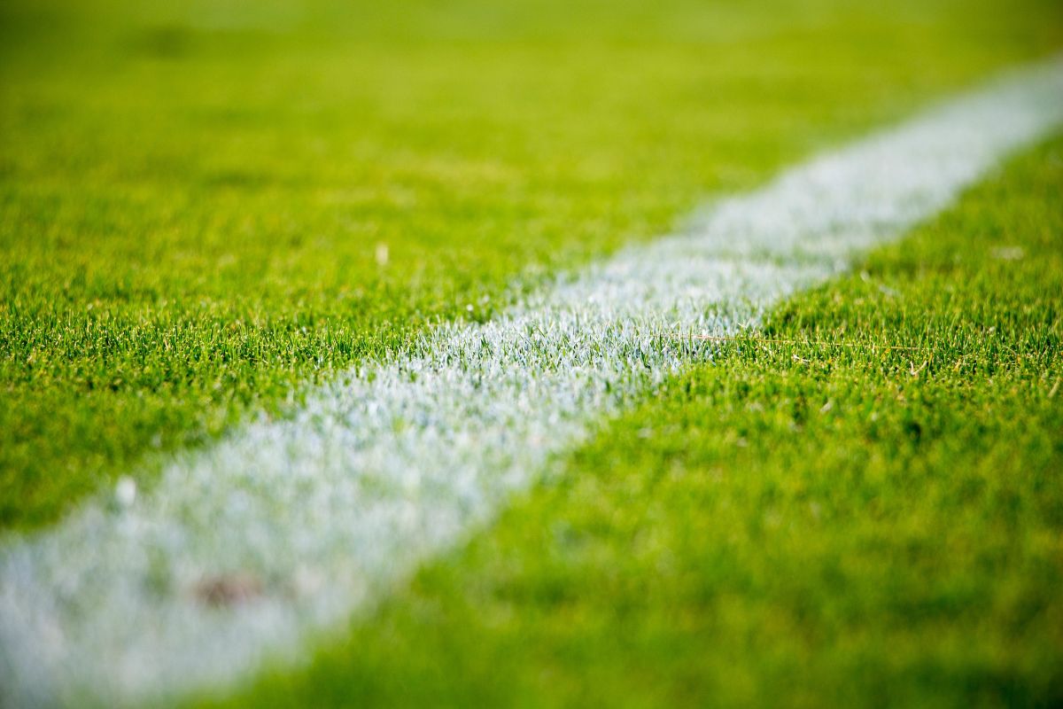 Image of a sports field with a white line, highlighting the competitive nature of athletic activities. This image emphasizes the importance of physical performance and the benefits of using Nozey's Active Strips for sports, including their ability to provide support and reduce congestion during intense physical activity, allowing athletes to perform at their best.